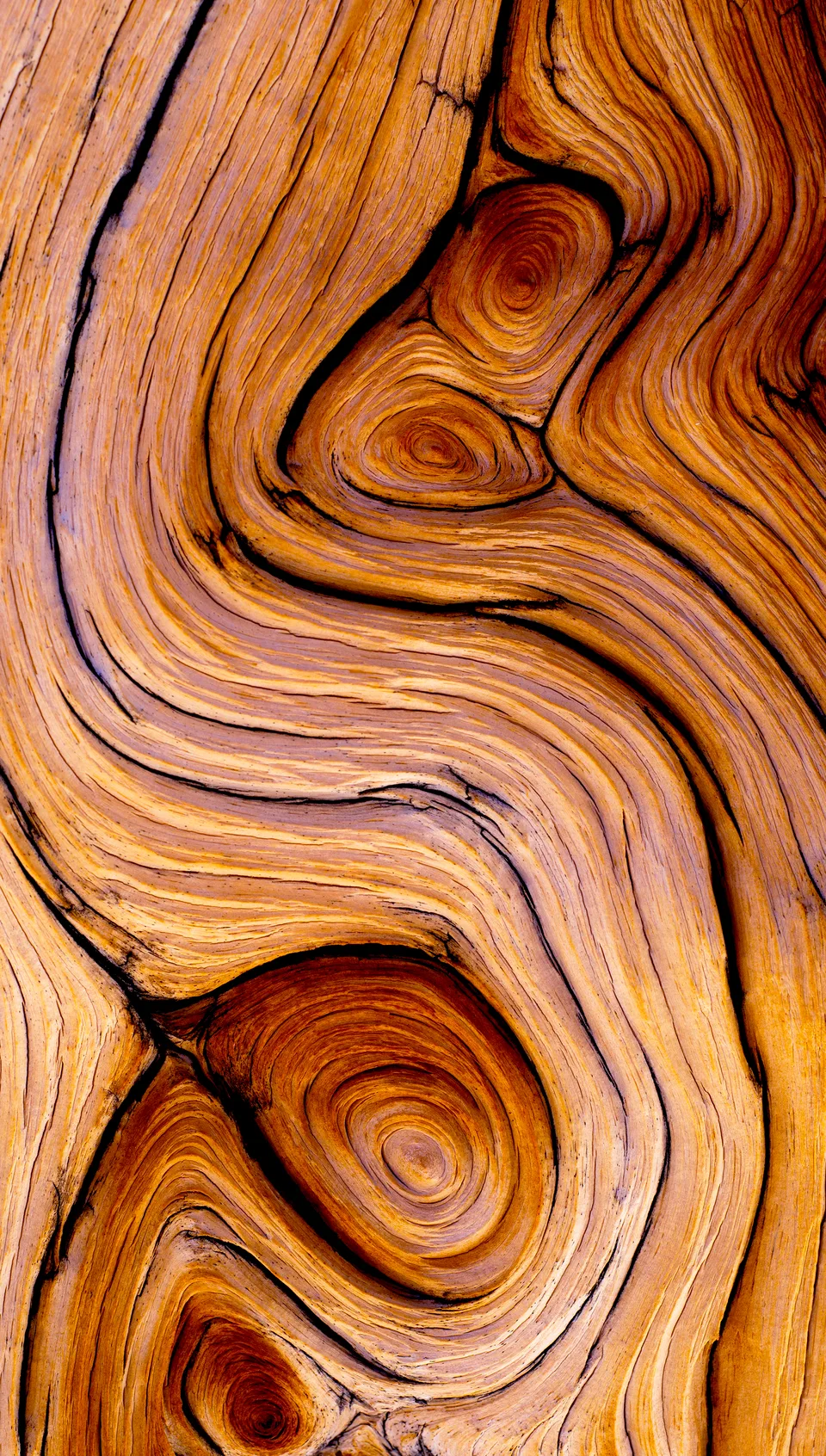 Galaxies in Wood