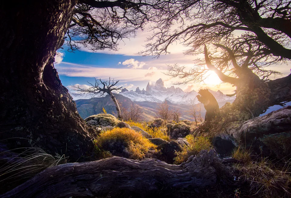 Sunset framed through lenga trees in El Chaltén, Patagonia