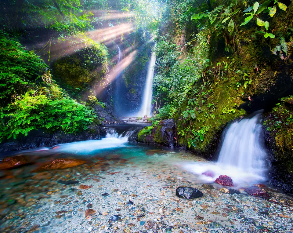 Magic Light in the Amazon